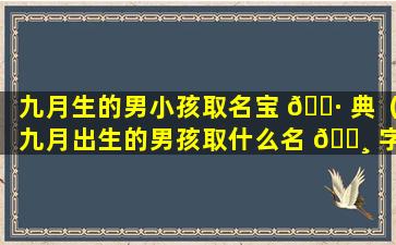 九月生的男小孩取名宝 🕷 典（九月出生的男孩取什么名 🕸 字好）